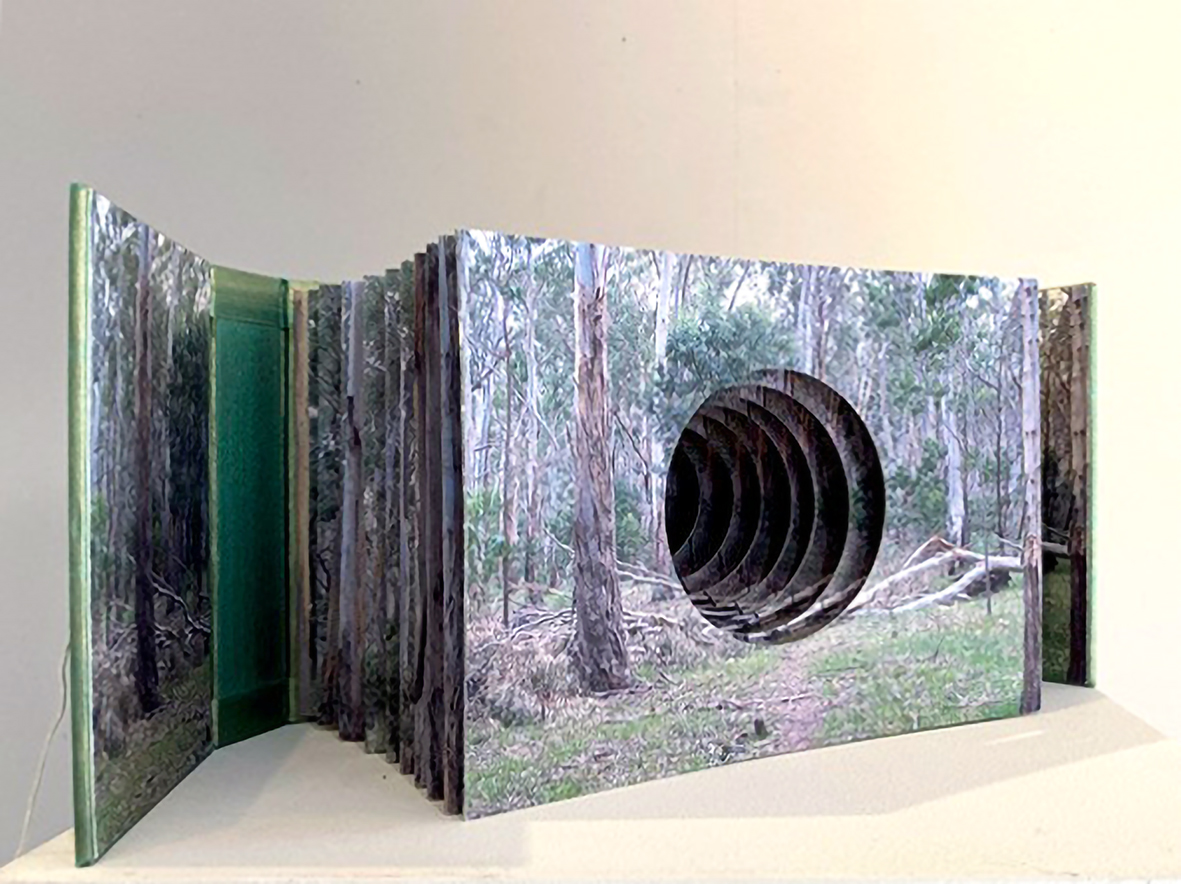 Lesley DUXBURY 'A Walk in the Redeem Forest', artist tunnel book, inkjet prints, silk, twine and brass, 15.5 x 40 x 16 cm
